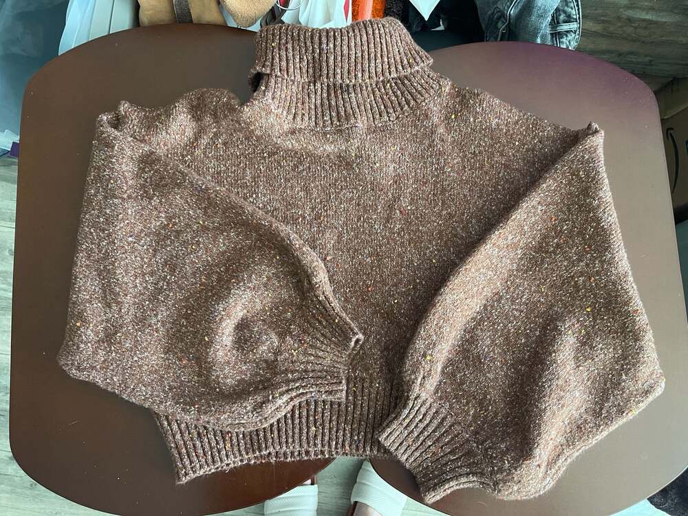 LE LIS COLLECTION Brown Multicolor Speckled Turtleneck Cropped Sweater Size L